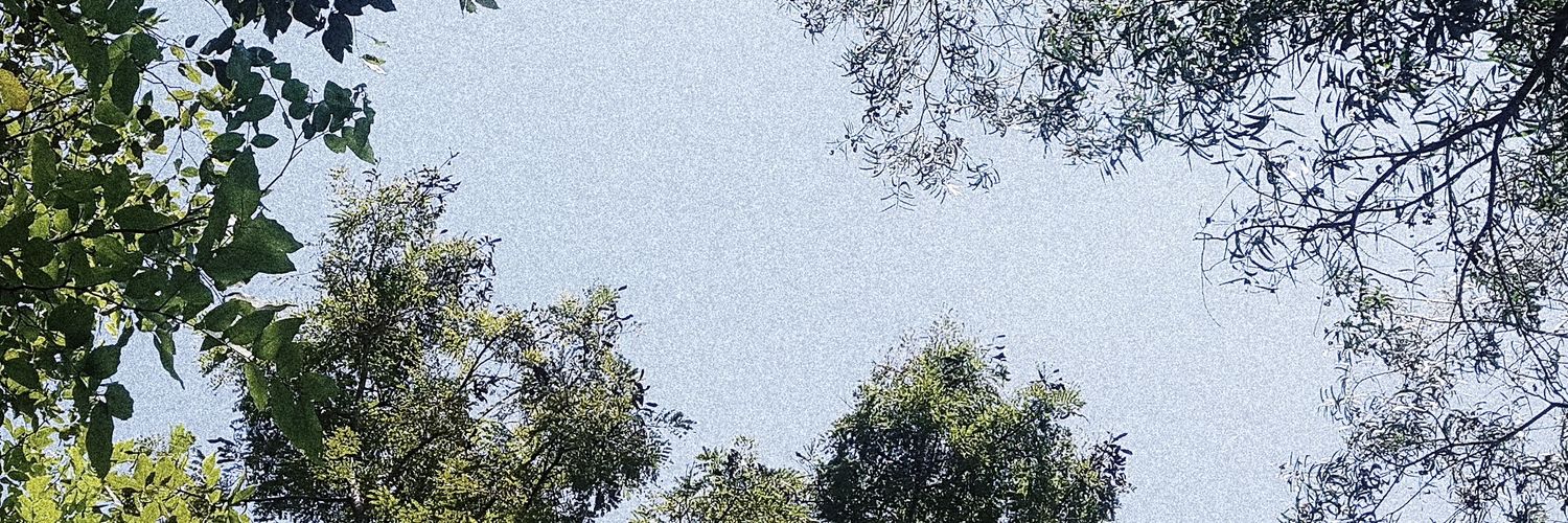 moafxn's profile banner image