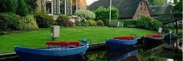 Patricia Montero Lafourcade banner