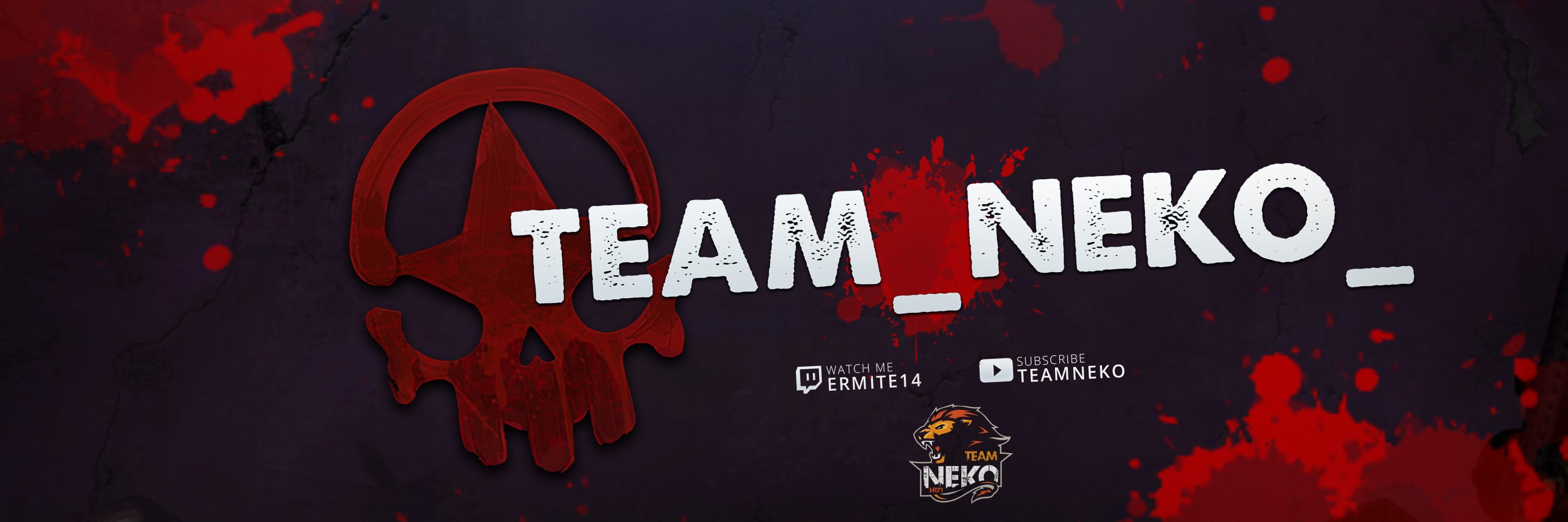 TEAM_NEKO_'s profile banner image