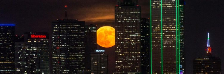 Angela Sandoval banner