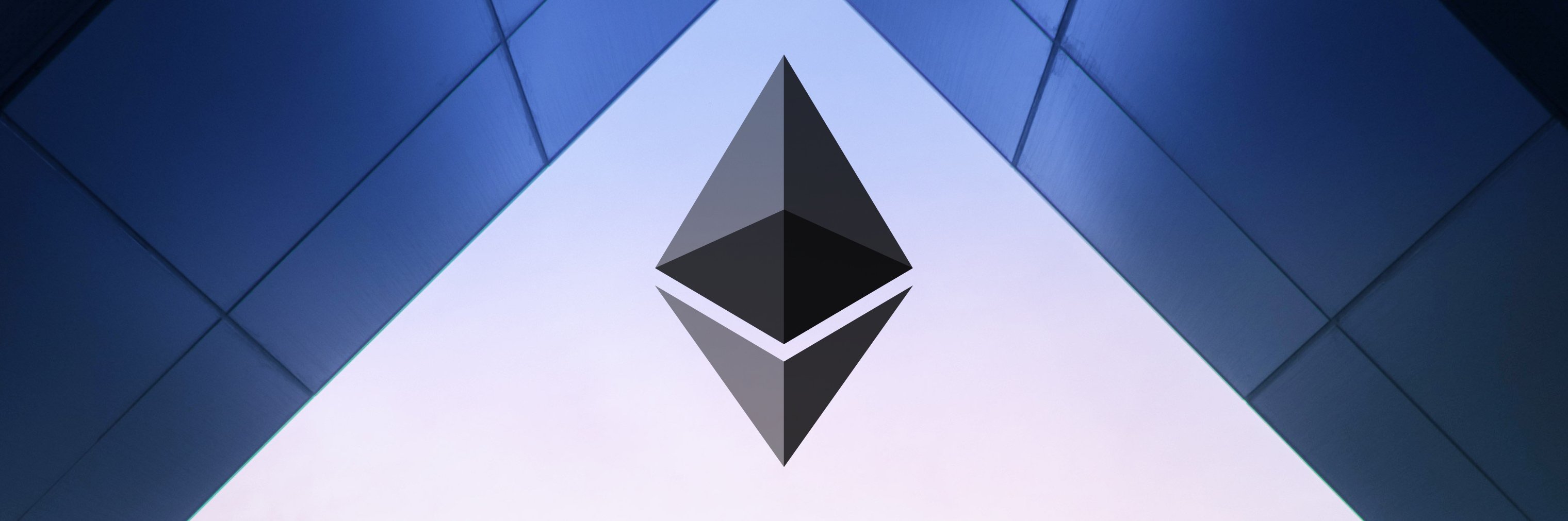 TheSocialWallet.com banner