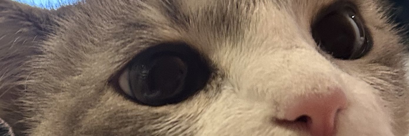 jubs 🌟 banner
