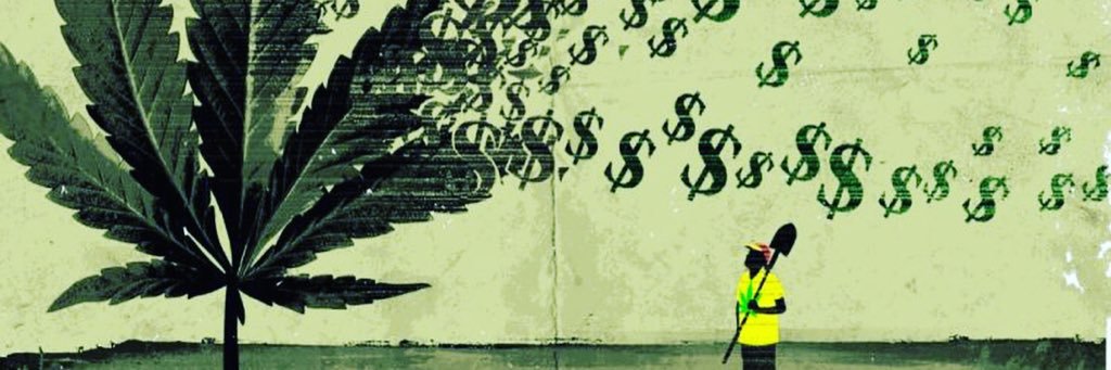 WeedHedShop's profile banner image