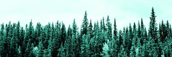 Myron Genyk 🇨🇦🇺🇦 banner