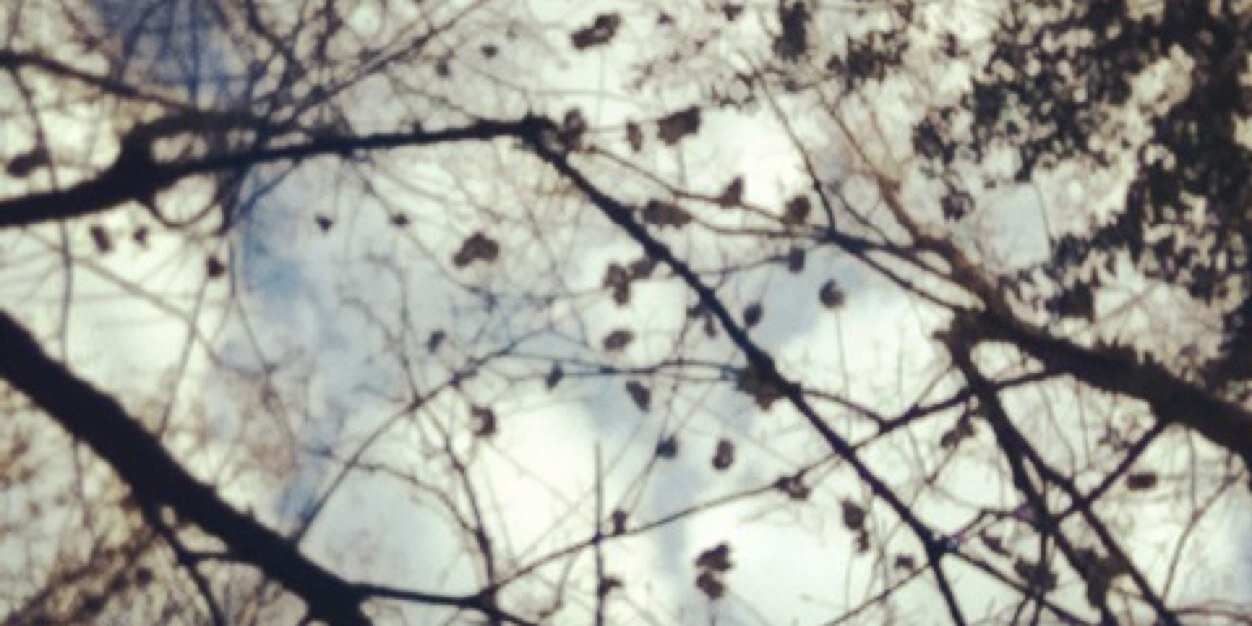 JoeHaddow17's profile banner image