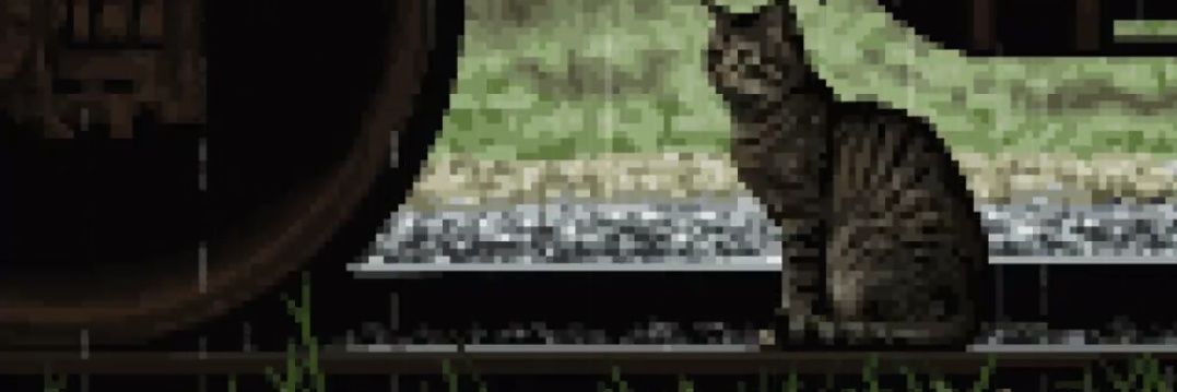 ningo banner