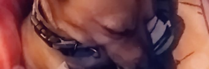 Tur7leTur7le's profile banner image