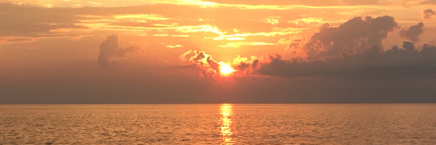 Manteo Middle AVID banner