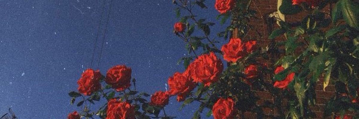 LAactup's profile banner image