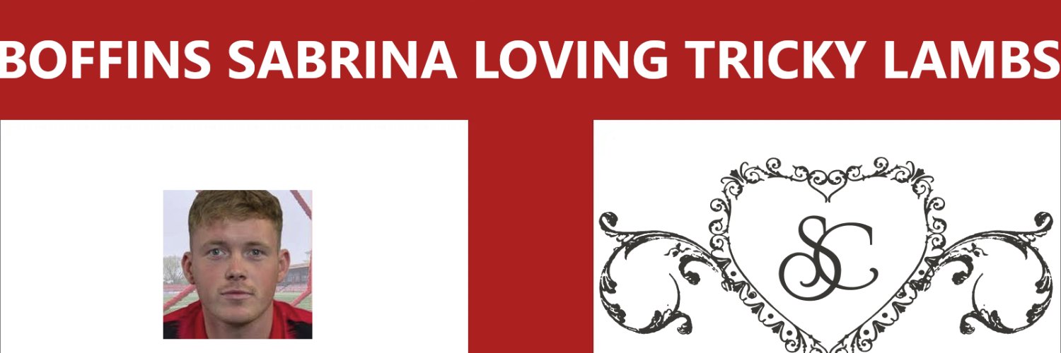 Boffin banner