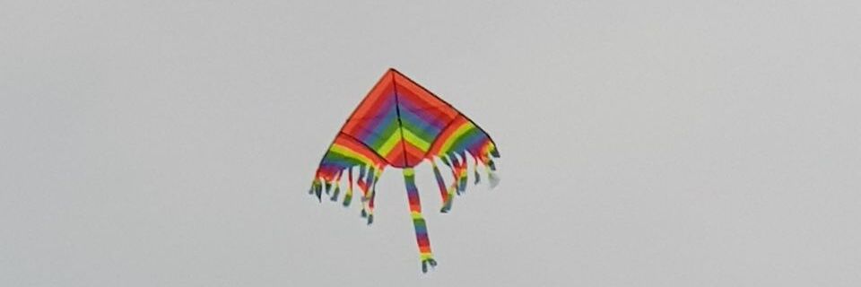 segus's profile banner image