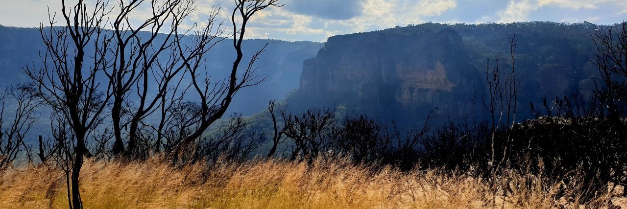 prof alison pullen banner