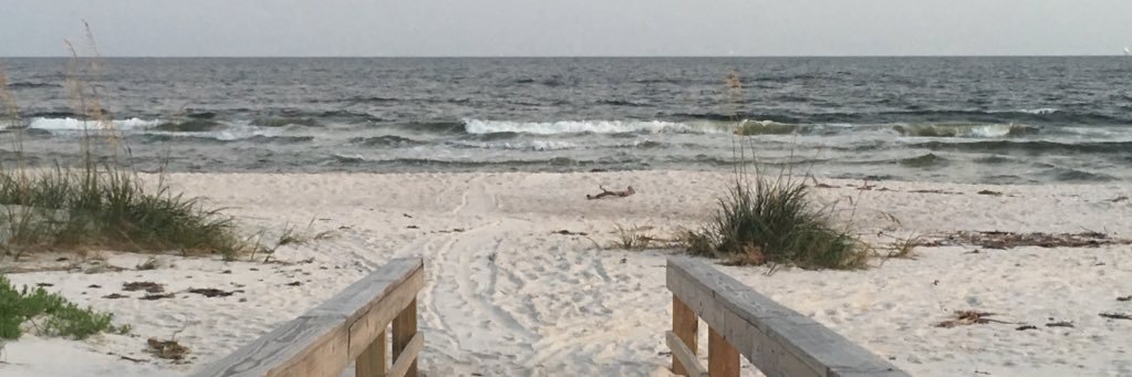 Mrs. Touchstone banner