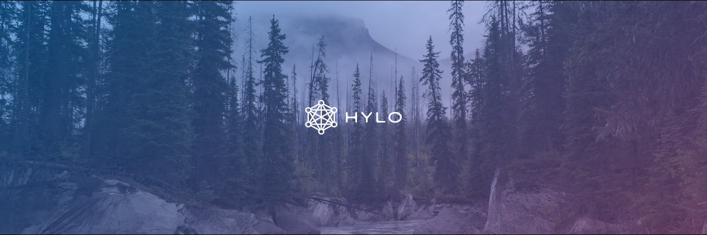 hylo banner
