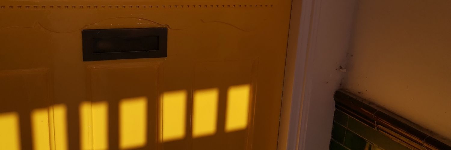 TraynorBird's profile banner image