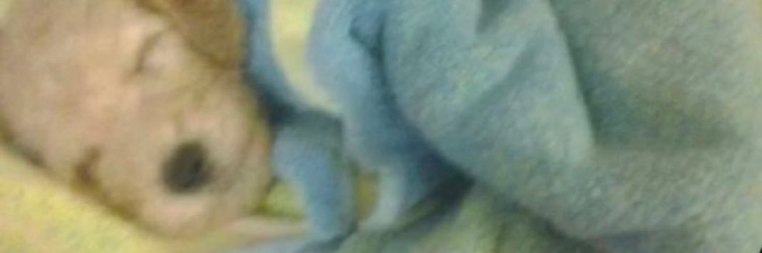444evan's profile banner image