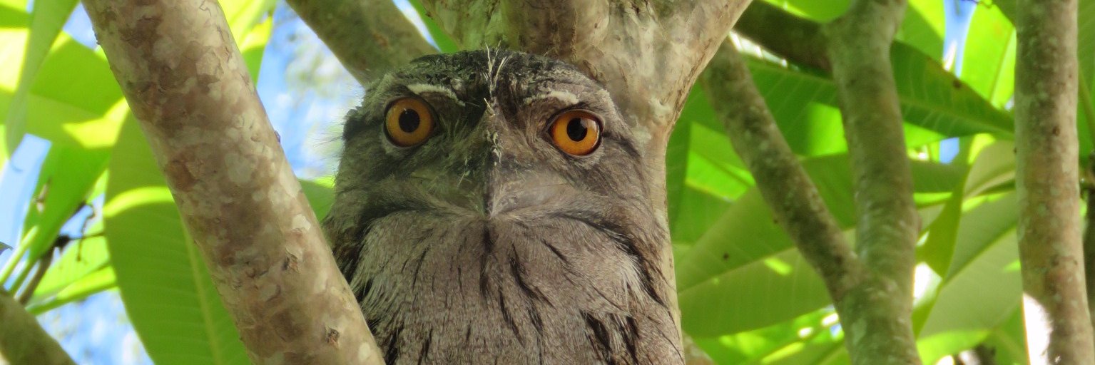 AustraliaPics's profile banner image