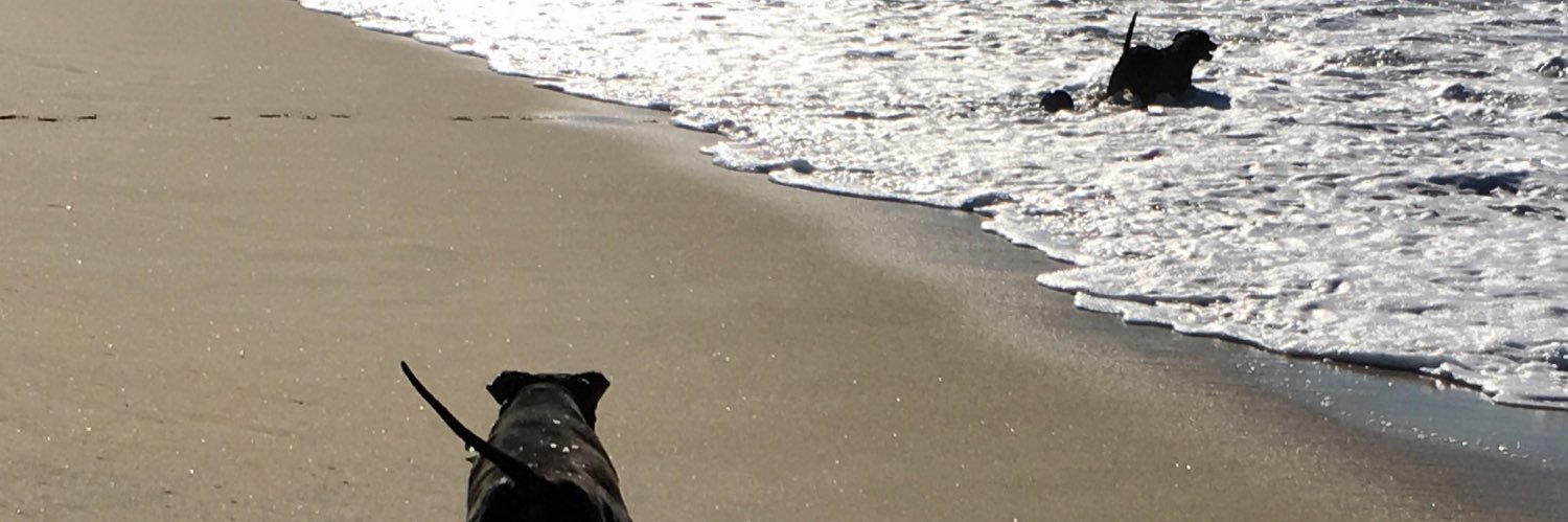 AbpositiveJack's profile banner image