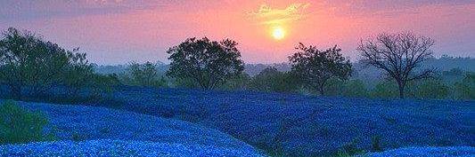 WEST TEXAS BORDER ANGEL banner