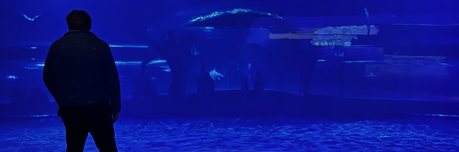 ReifMatty's profile banner image