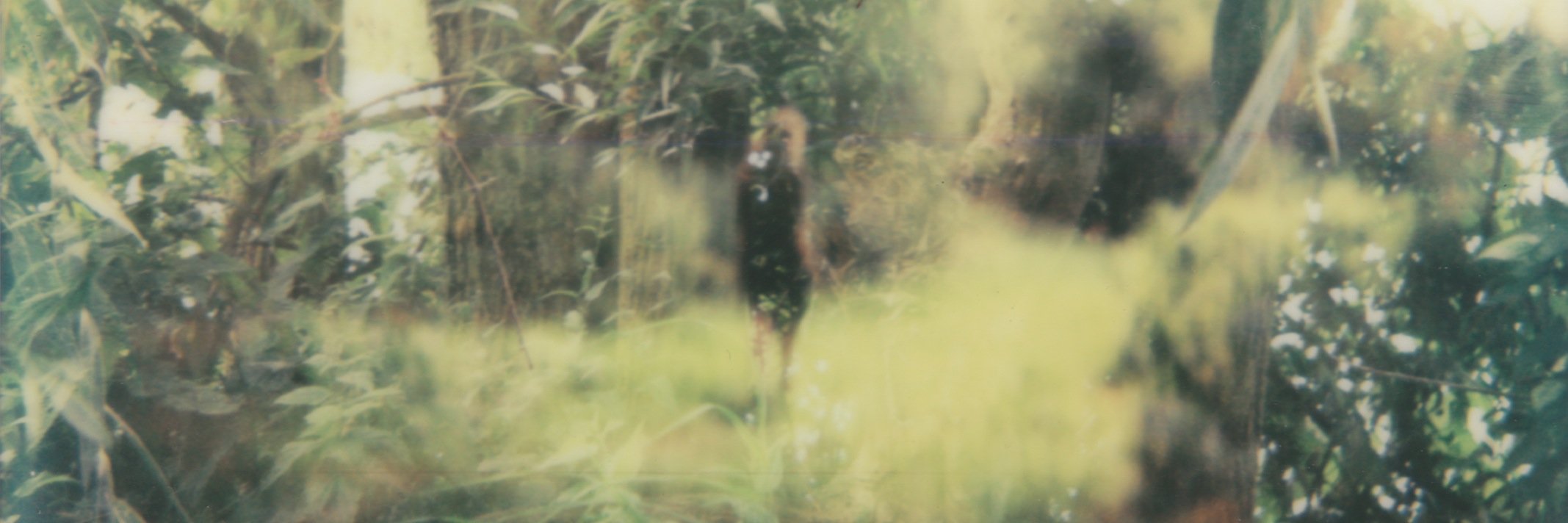 LabVanSaar's profile banner image