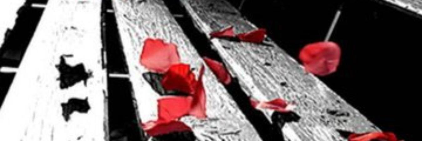 Ili_etc's profile banner image