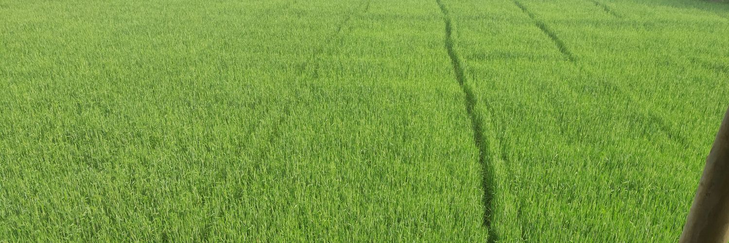 ALKA PANDEY 🇮🇳 banner