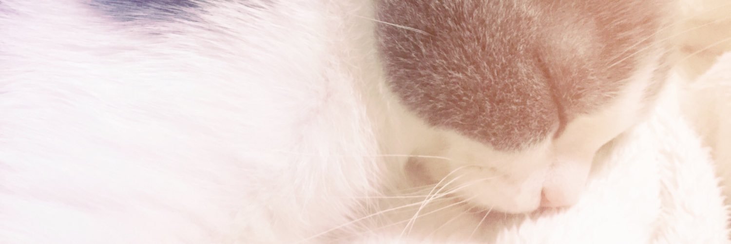 Disney_azusa's profile banner image