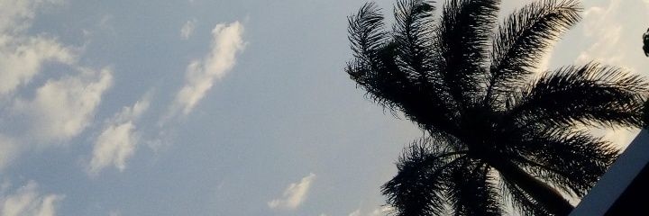 anndreaCo's profile banner image