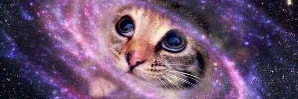 BBBdoAno's profile banner image