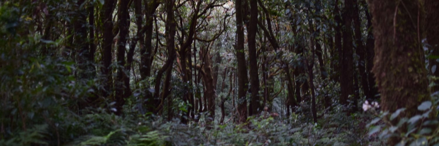 SECNX95's profile banner image