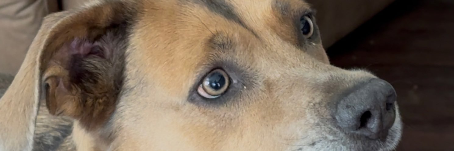 MivionTV's profile banner image