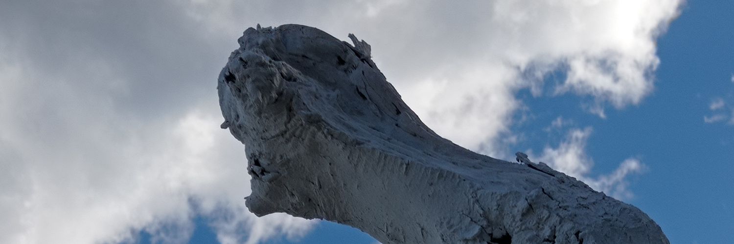 EstherRodrigz's profile banner image