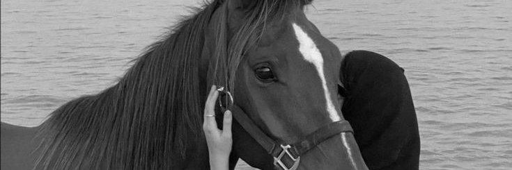islemarbie's profile banner image