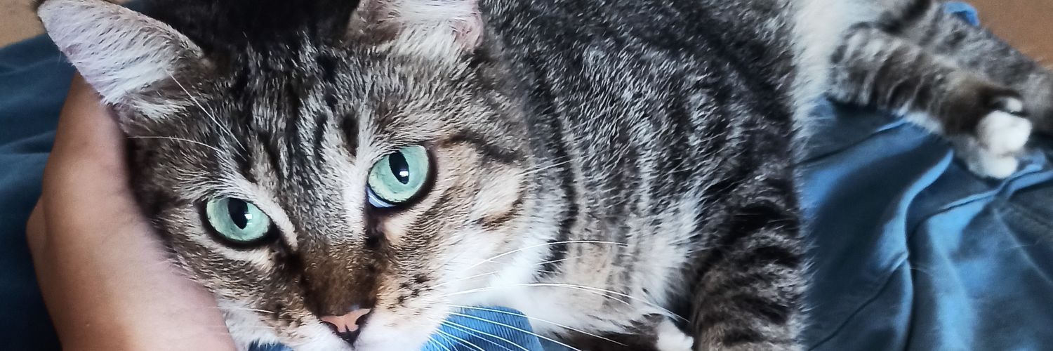 capitupreta's profile banner image