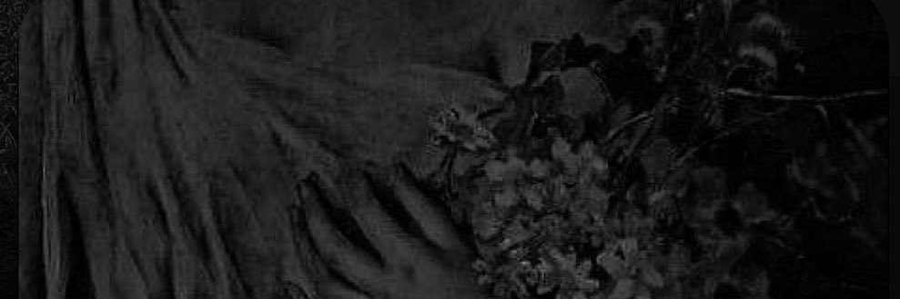 Danah_b1's profile banner image