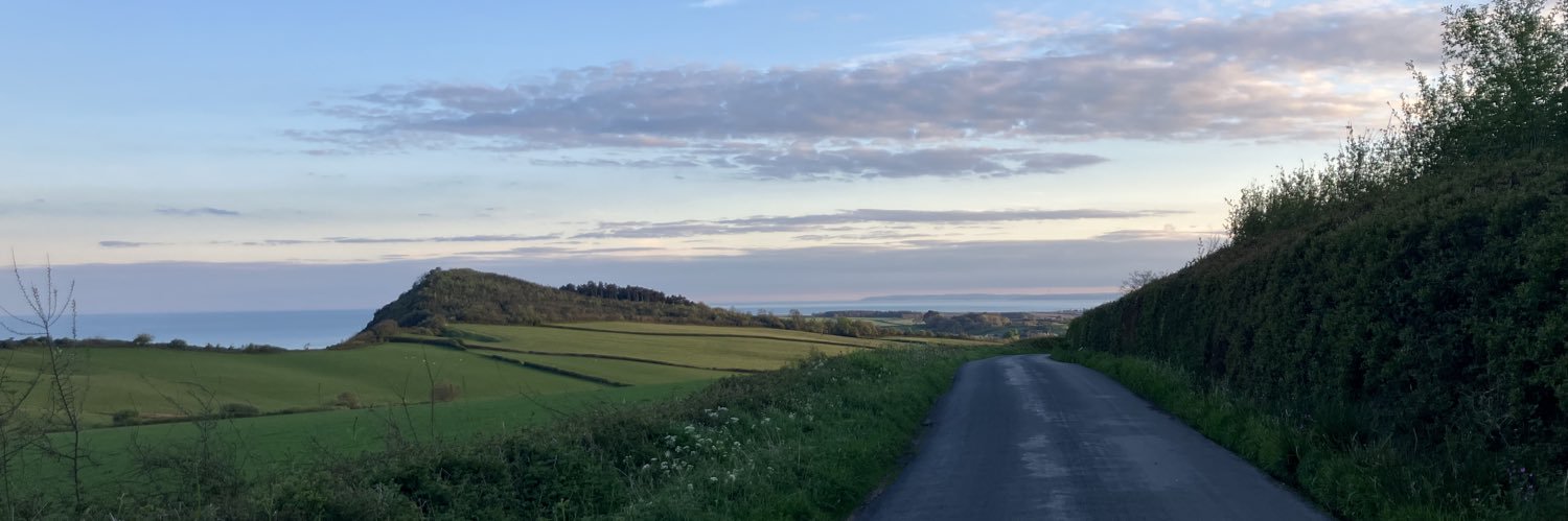 Prof Dilly Fung banner