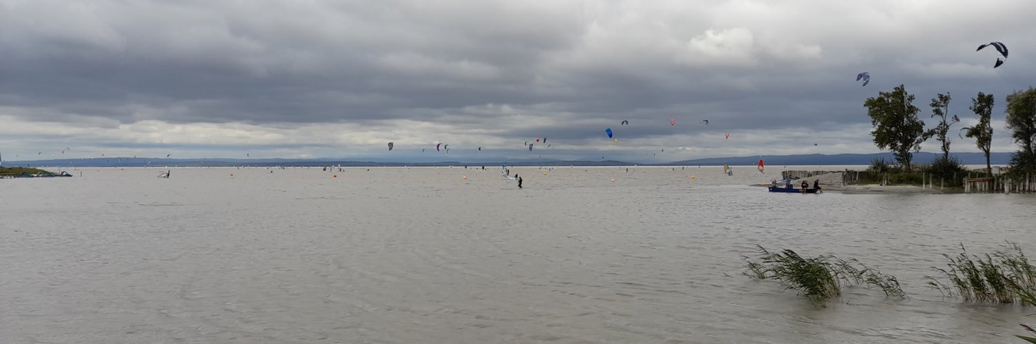 Simona Georgieva banner