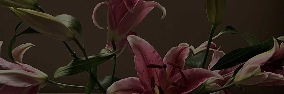 iil54__'s profile banner image
