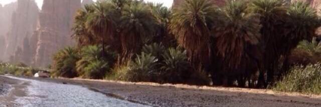 ﮼سعيد،الذبياني banner