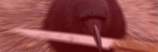 鹅🐧's banner