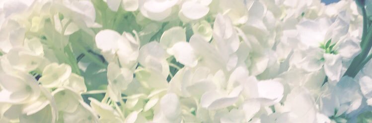 SimpleeChelsea's profile banner image