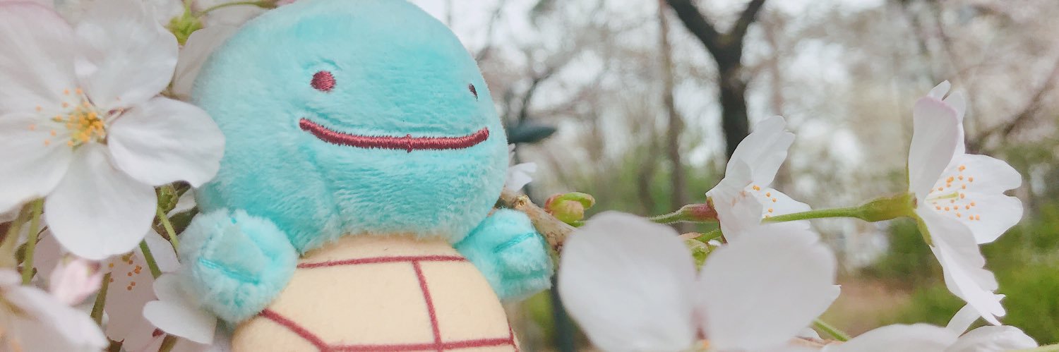 sunnybugie's profile banner image