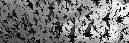 .*•°. *°.• .*. *° . banner