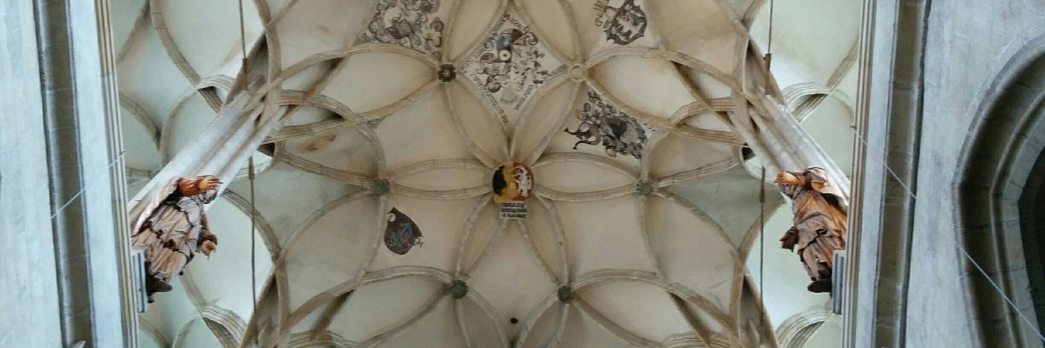 Liška banner