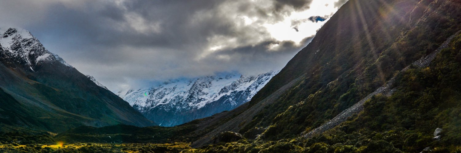 𓆏 John Maerz 𓆏 banner