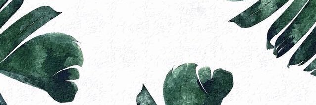 camiicastaneda's profile banner image