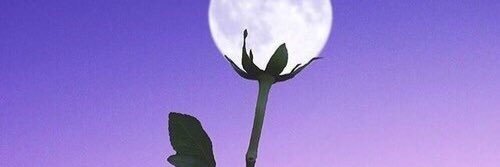 DALCHI_AW's profile banner image