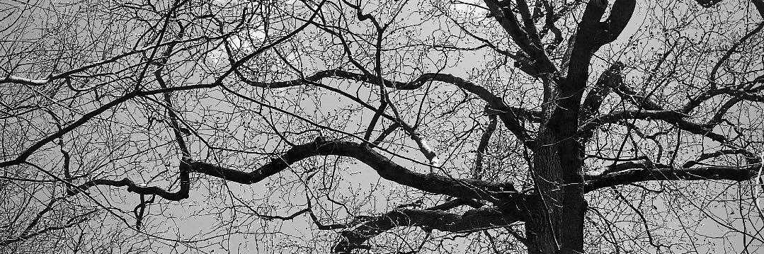 ArielKileyYoga's profile banner image