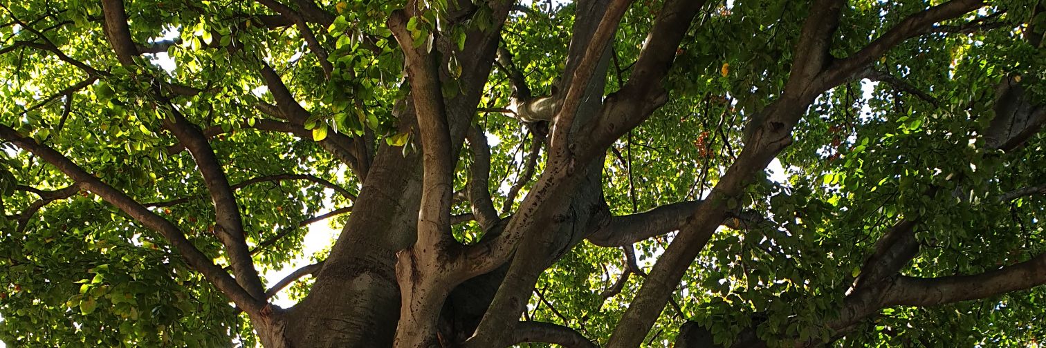 aXerJo's profile banner image